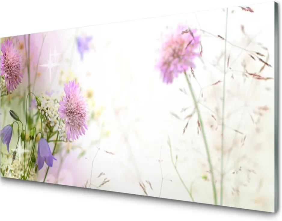 Obraz na skle Květiny rostlina příroda