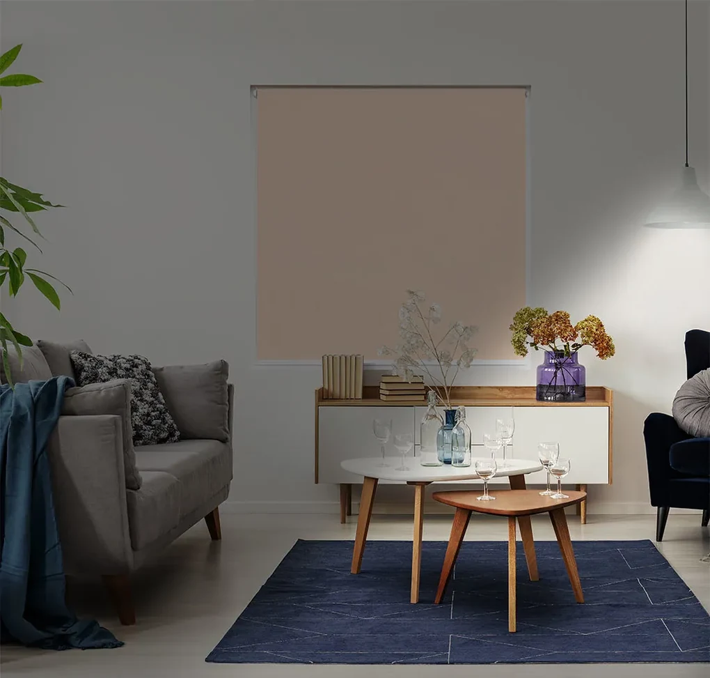 FOA Látková roleta, BASIC, Telová, LT 105 , 50 x 240 cm