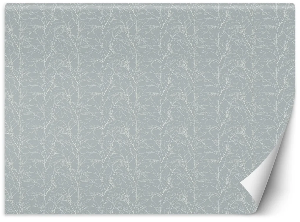 Gario Fototapeta Scandi biele vetvičky Materiál: Vliesová, Rozmery: 250 x 175 cm