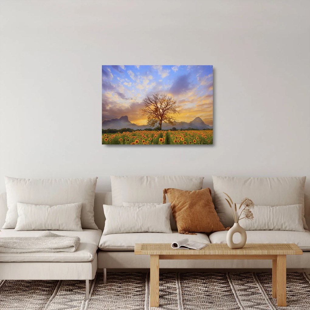 Sklenený obraz - Krajina so slnečnicami (70x50 cm)