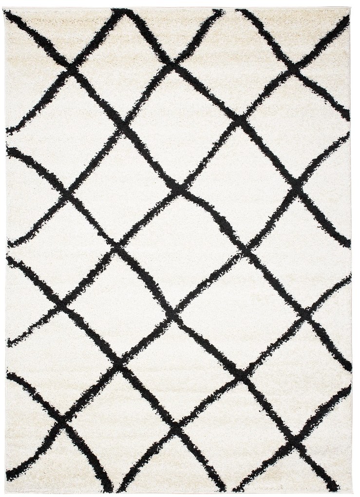 Dizajnový koberec REVA - SHAGGY ROZMERY: 240x330