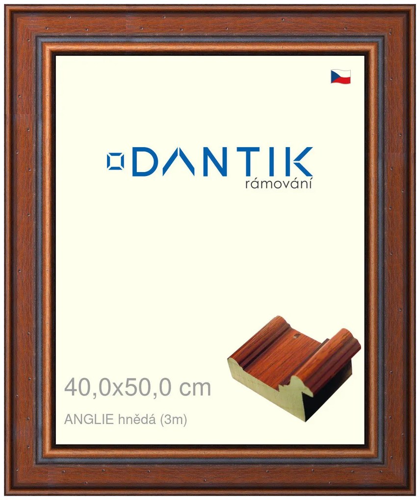 DANTIK rám na obraz 40x50 | ANGLIE hnědá (Plexi Čiré)