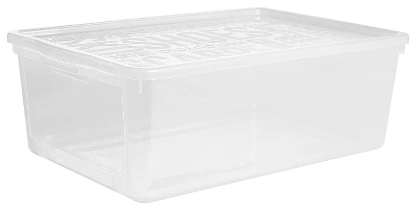 Box na topánky Basic Box s klapkou