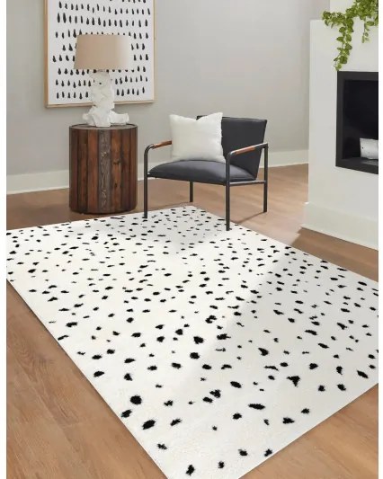 Kusový koberec Mode 8508 cream/black, 120x170, biela, chodba / predsieň, Dywany Łuszczów
