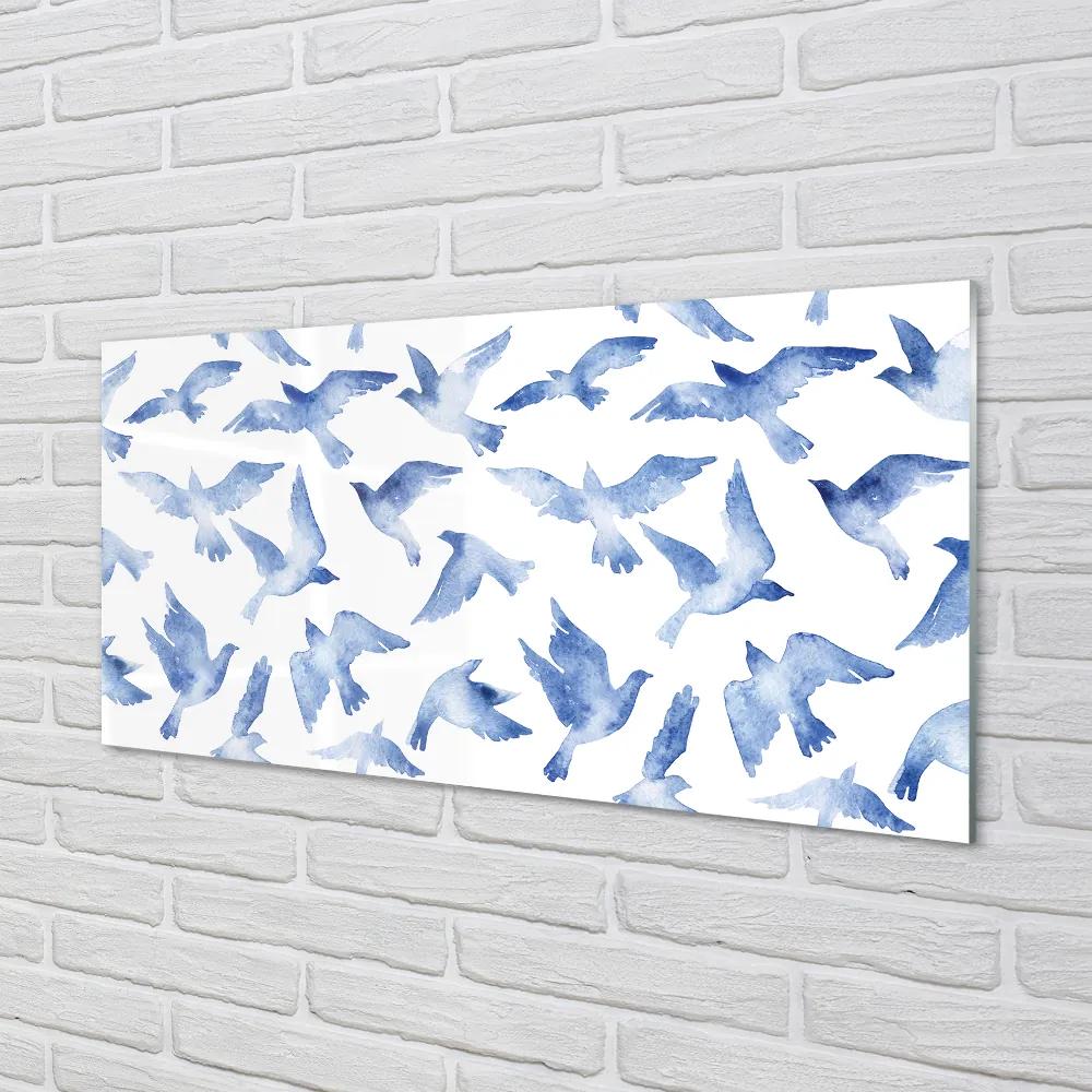 Nástenný panel  maľované vtáky 120x60 cm