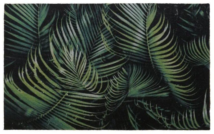 Rohožka 50x80 palma 31 01060103