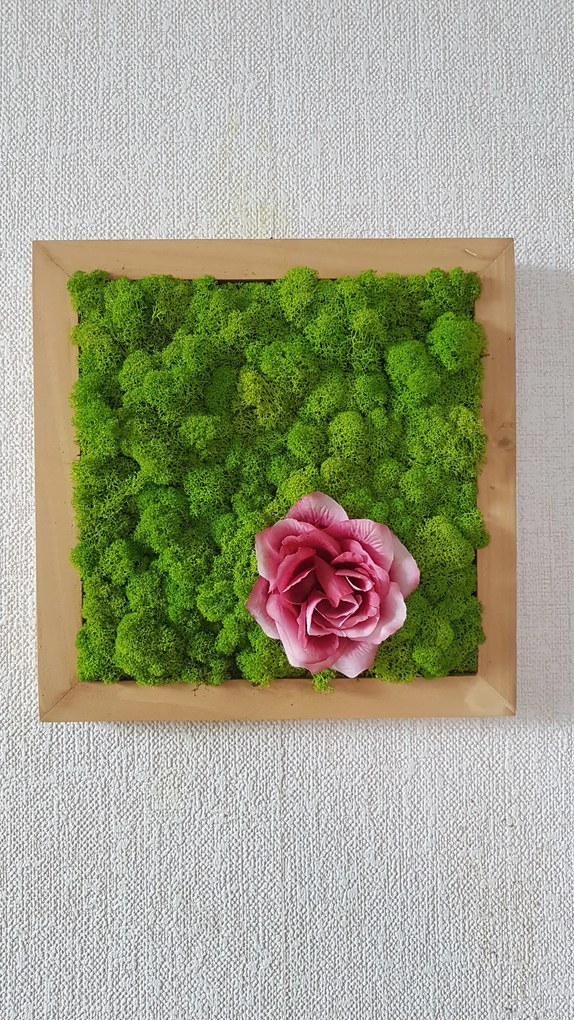 Machový obraz s kvetom ruže 40cm x 40cm