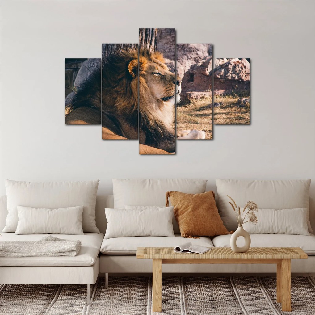Obraz ležiaceho leva (150x105 cm)