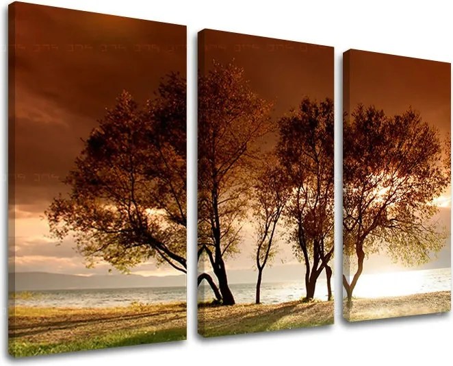 Obraz na stenu STROMY