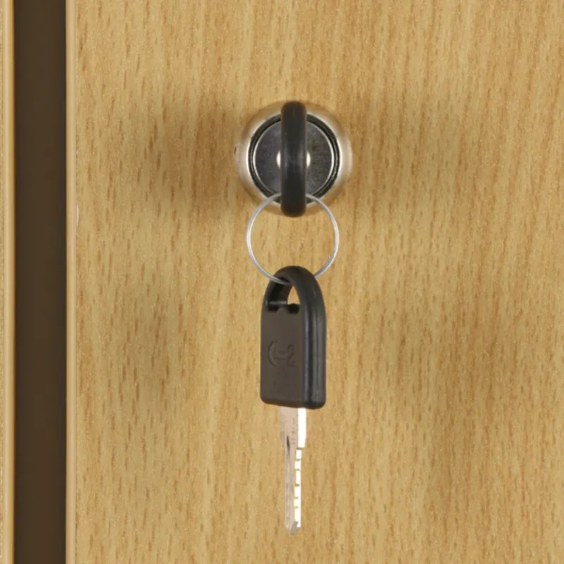 Šatníková skrinka S1 s úložnými boxmi, 4 boxy, 1850 x 300 x 500 mm, demont, cylindrický zámok, laminované dvere, orech