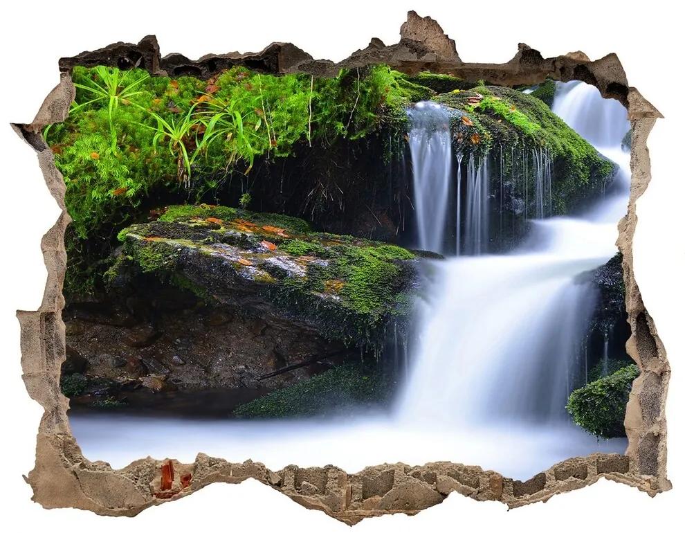 Nálepka fototapeta 3D výhled Vodopád v lese nd-k-76241598