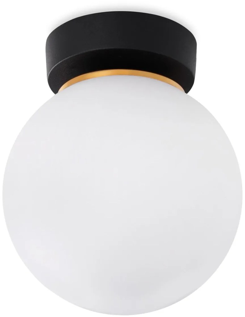 Stropné svietidlo Florence, 1x biele sklenené tienidlo, g