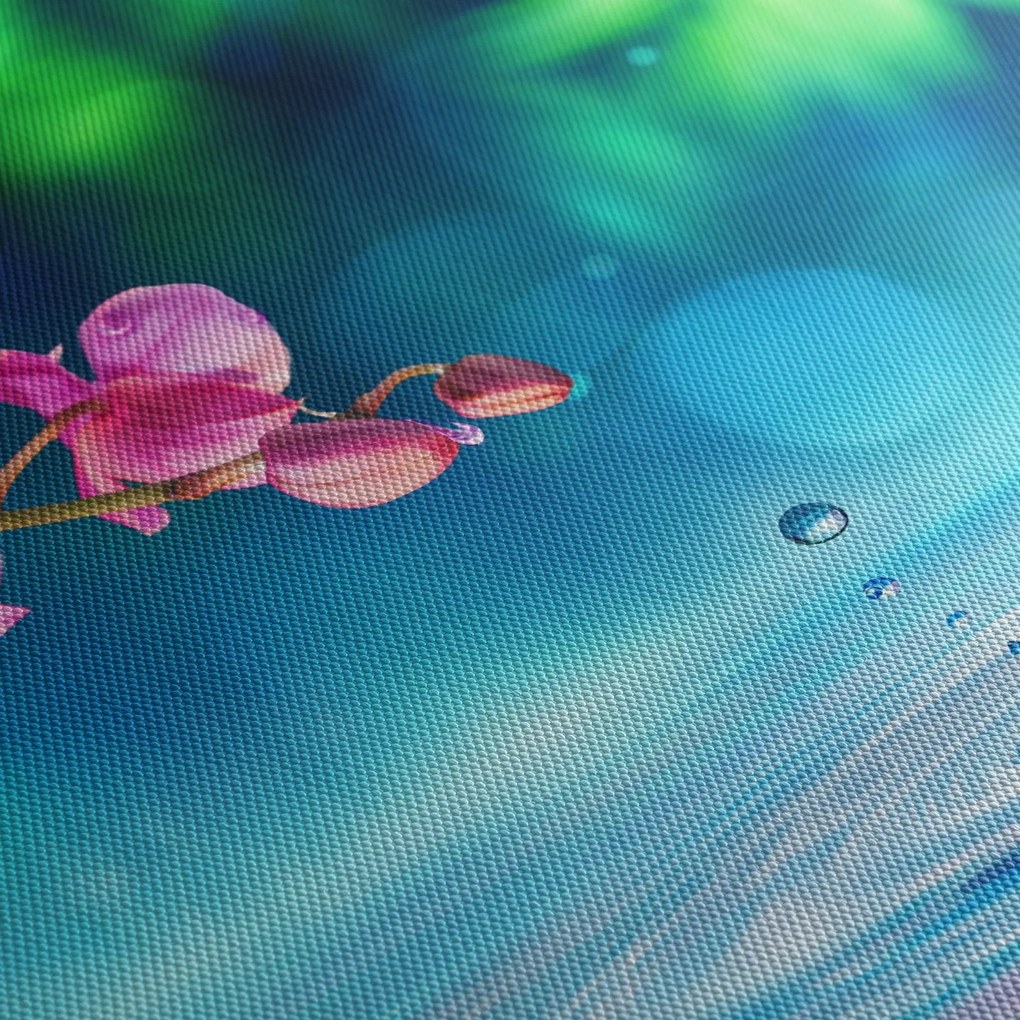 Obraz - Orchidea (120x50 cm)
