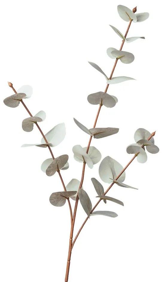 XXXLutz DEKORAČNÁ VETVIČKA eukalyptus 68 cm - Kvetinové dekorácie - 0068600196