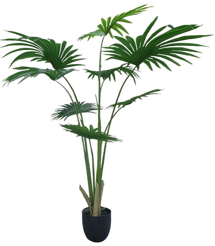 Artificial plant Washingtonia Robusta 2 180cm