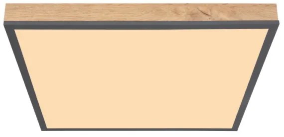 Globo 416080WD2 - LED Stropné svietidlo DORO LED/24W/230V