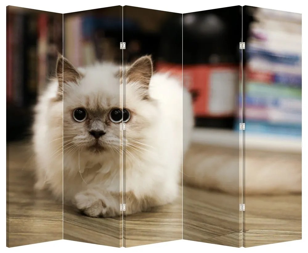 Paraván - Biela mačka (210x170 cm)