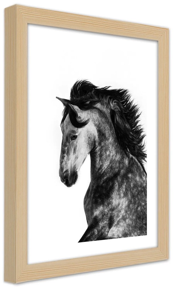 Gario Plagát Divoký orol Farba rámu: Bez rámu, Rozmery: 40 x 60 cm