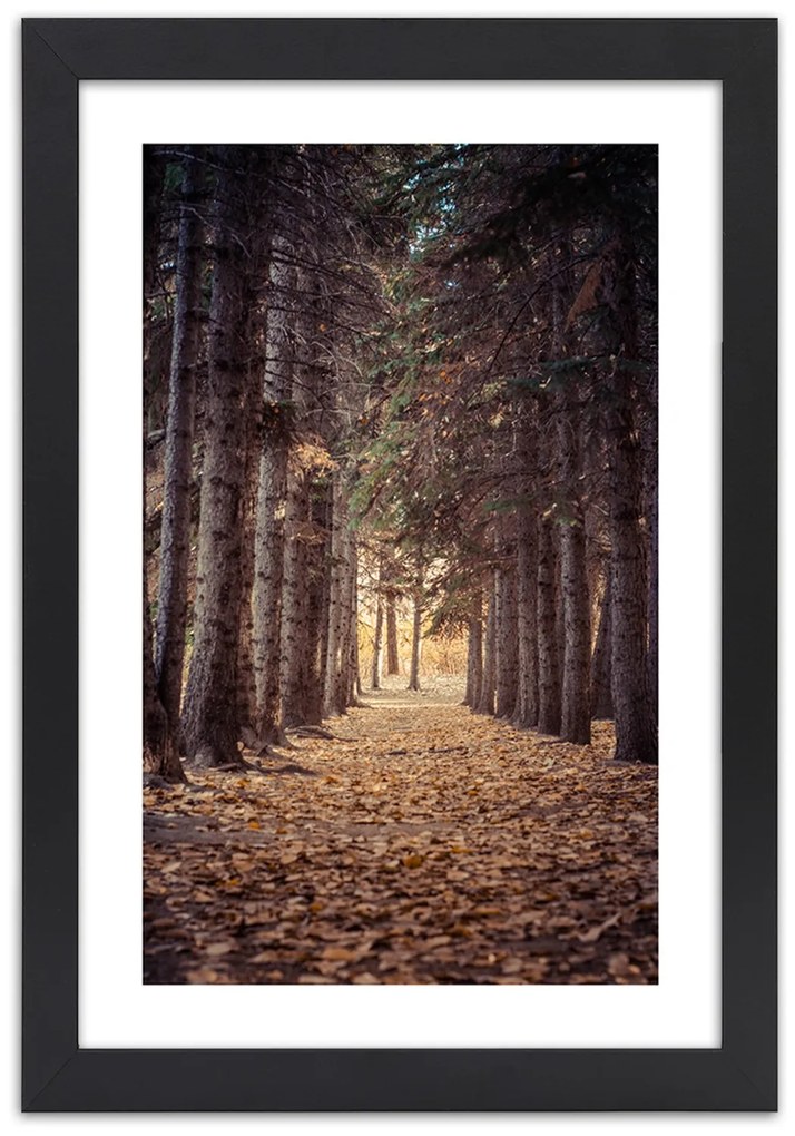 Gario Plagát Les na jeseň Farba rámu: Bez rámu, Rozmery: 30 x 45 cm