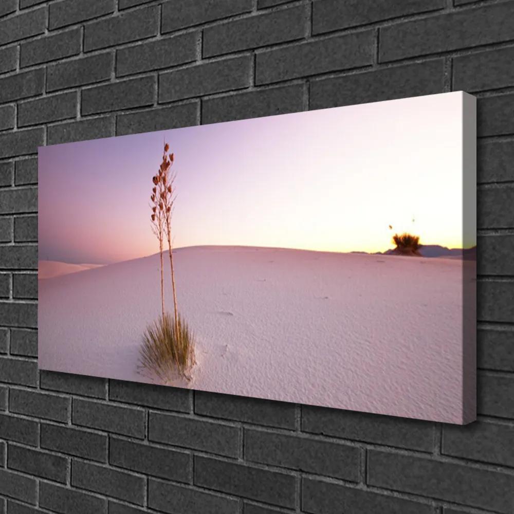 Obraz Canvas Púšť písek krajina 120x60 cm