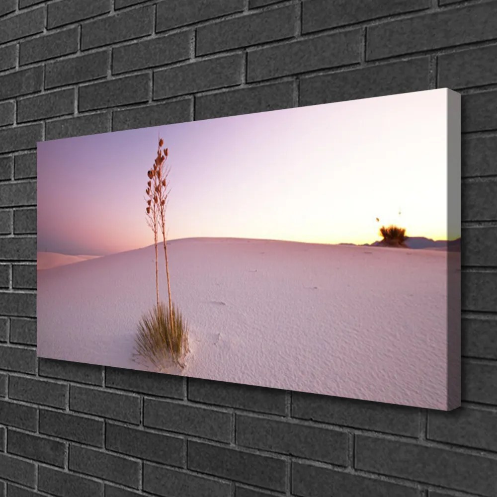 Obraz Canvas Púšť písek krajina 140x70 cm