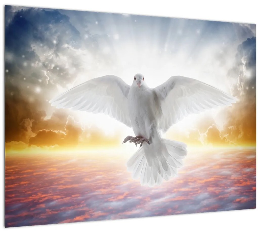 Sklenený obraz holubice (70x50 cm)