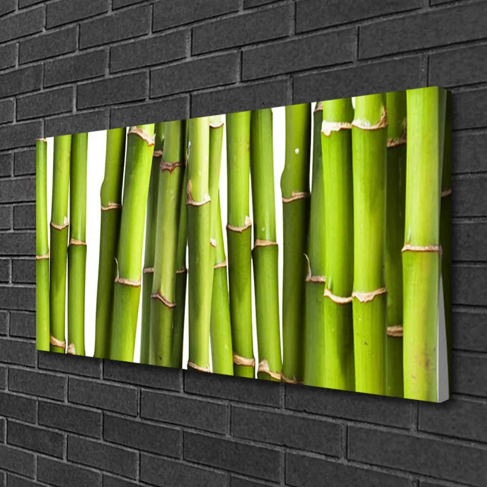 Obraz Canvas Bambus rastlina príroda 140x70 cm