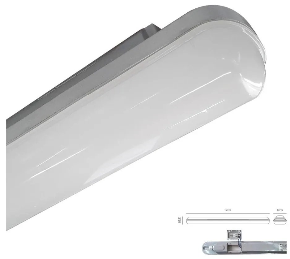 Emithor 31602 - LED Technické svietidlo ELMINA LED/36W/230V IP65