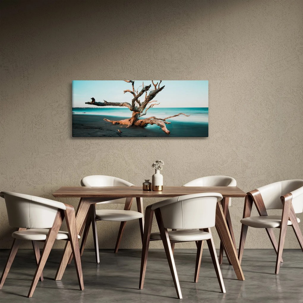 Obraz - Vyplavenie na pláži (120x50 cm)