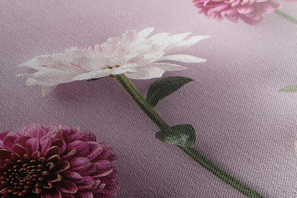 Obraz kompozícia ružových chryzantém - 150x50