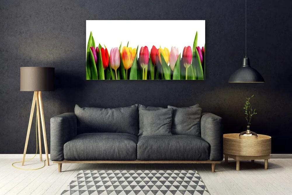 Obraz na akrylátovom skle Tulipány rastlina 120x60 cm