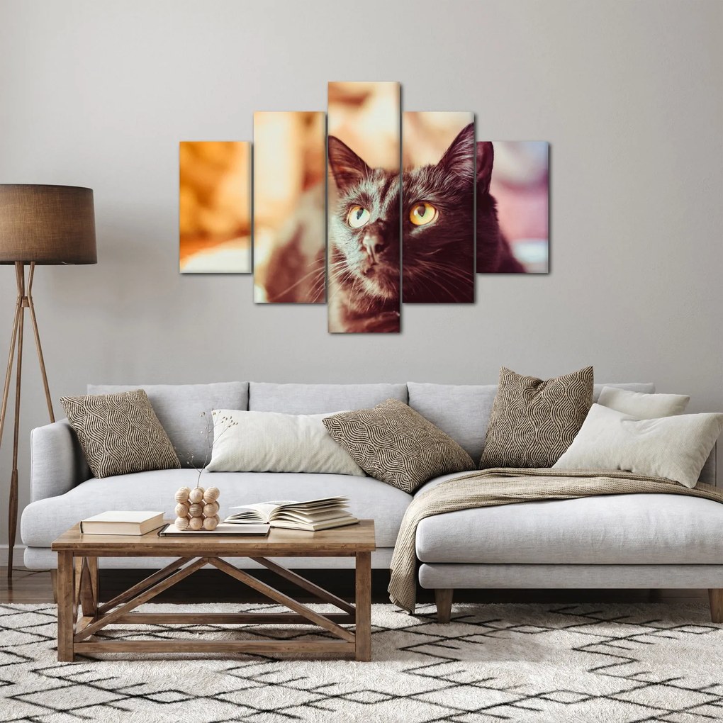 Obraz čiernej mačky (150x105 cm)