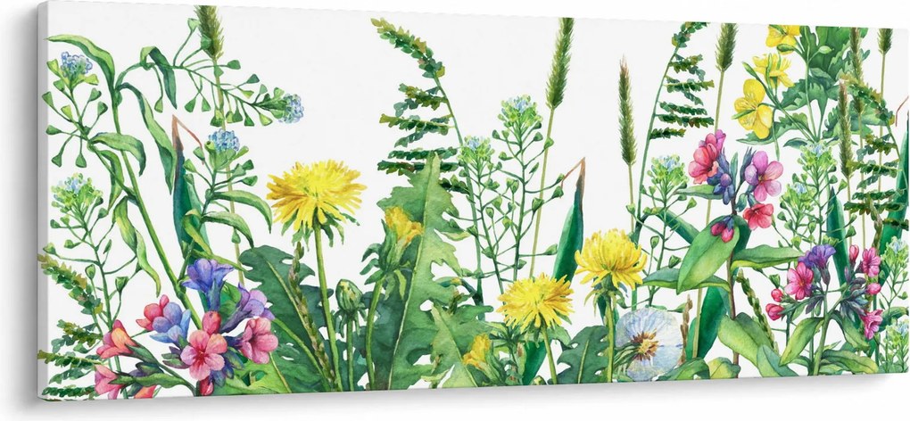 Obraz - Maľované lúčne kvety (120x50 cm)