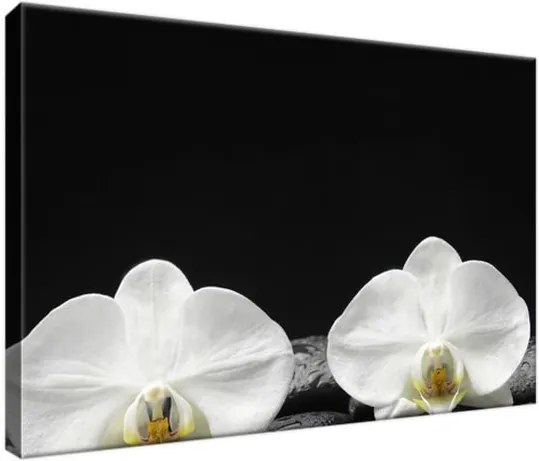 Obraz na plátne Biela orchidea a čierny kameň 30x20cm 1709A_1T