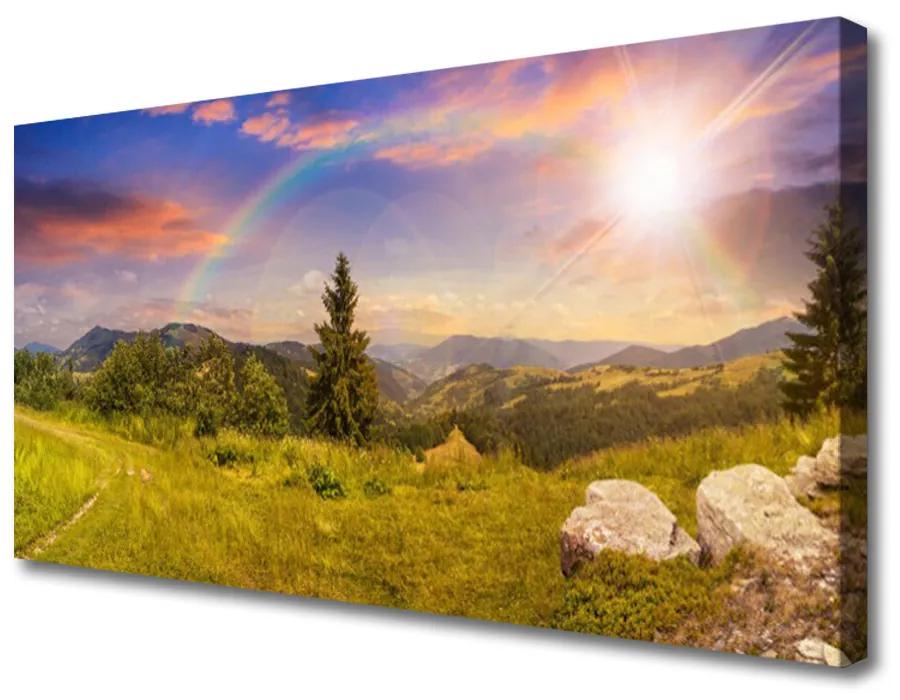 Obraz Canvas Hory lúka kamene príroda 140x70 cm