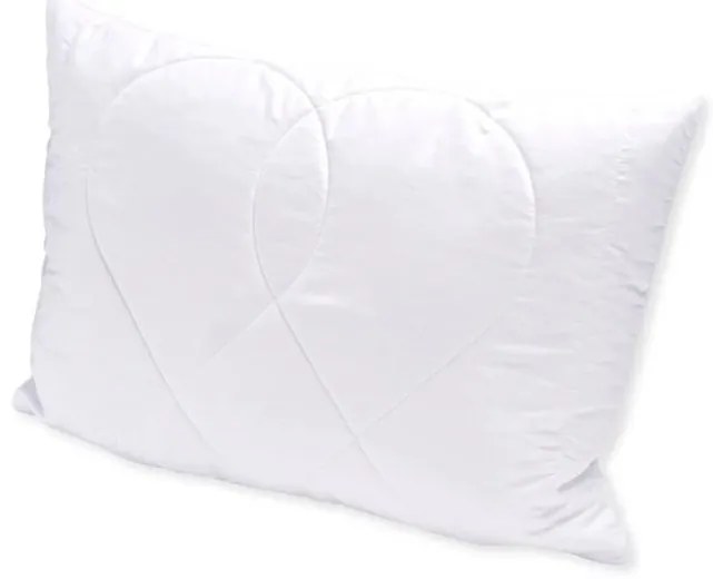 Brotex Vankúš Aloe vera 45x60 cm na zips