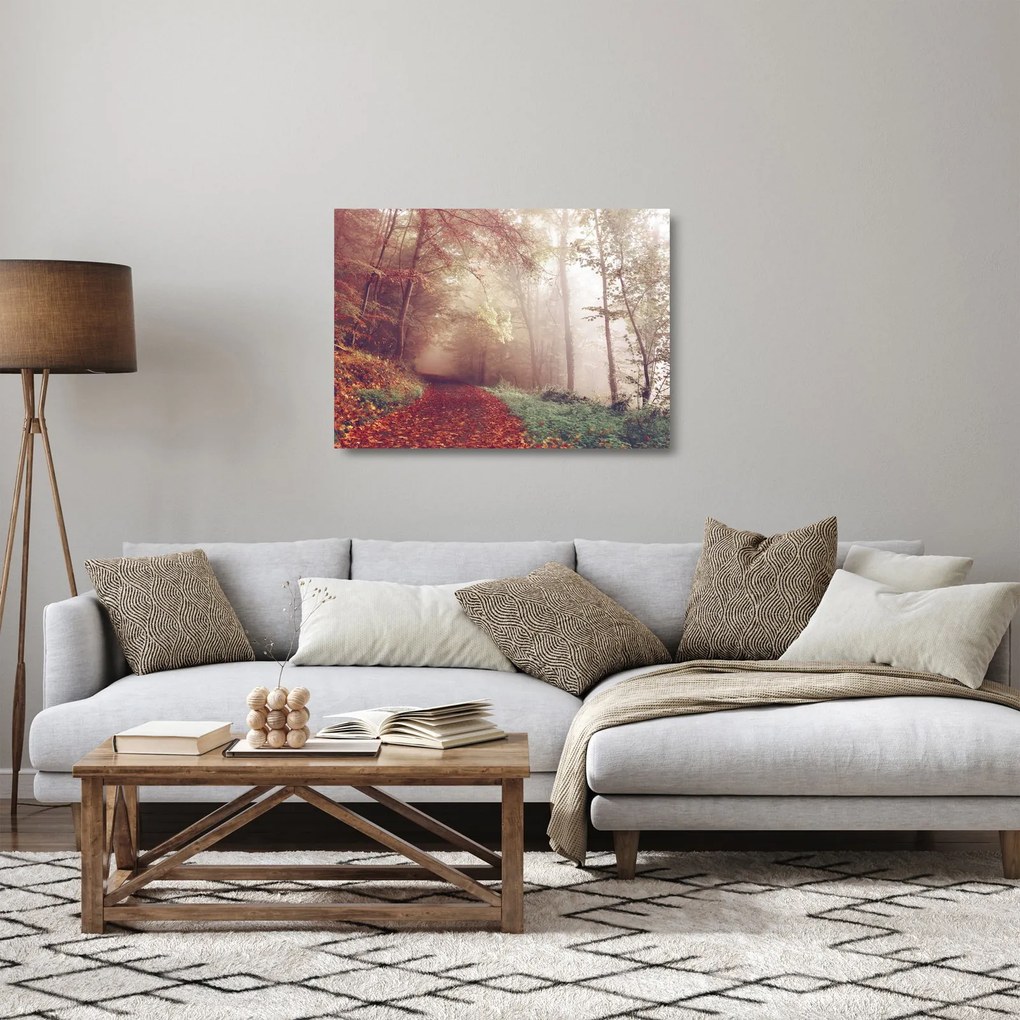 Sklenený obraz - Jesenná prechádzka lesom (70x50 cm)