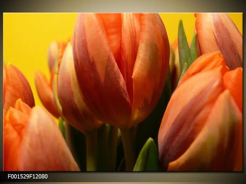Obraz na plátne Oranžové tulipány 2, Obdĺžnik 120x80cm 87,92 €