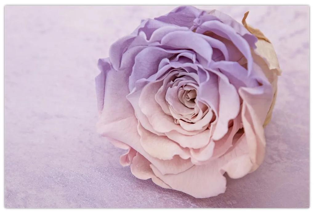 Obraz detailu kvetu ruže (90x60 cm)