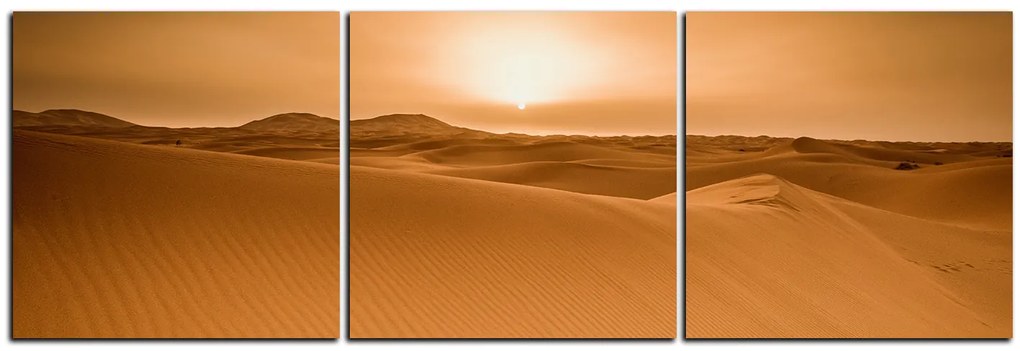 Obraz na plátne - Púšť Sahara - panoráma 5131B (120x40 cm)