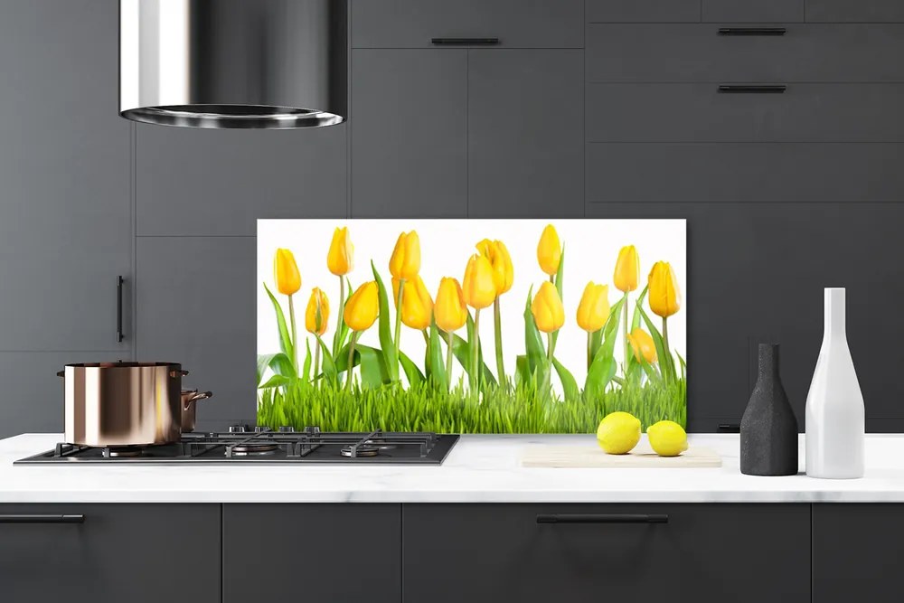 Nástenný panel  Tulipány 120x60 cm