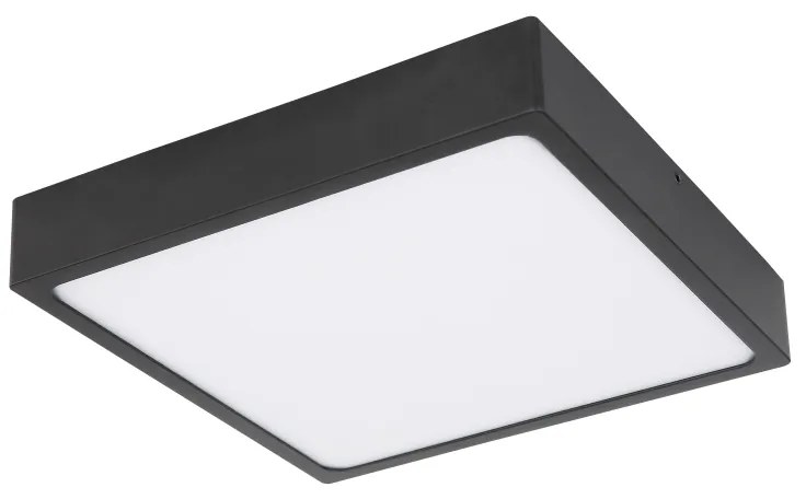 ECHO 12369-22