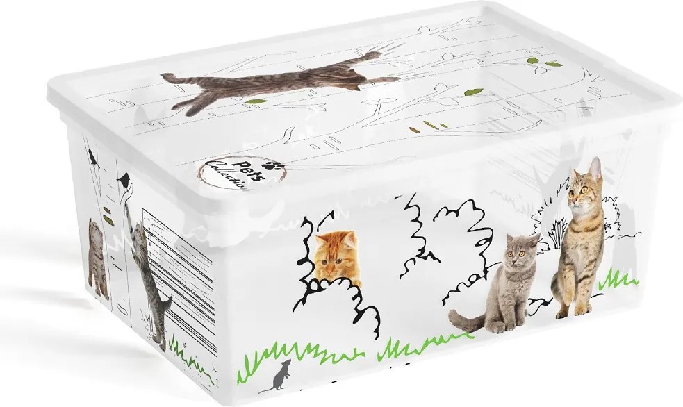 KIS C BOX 84080005098 Box 11 L, Style, Pets Collection
