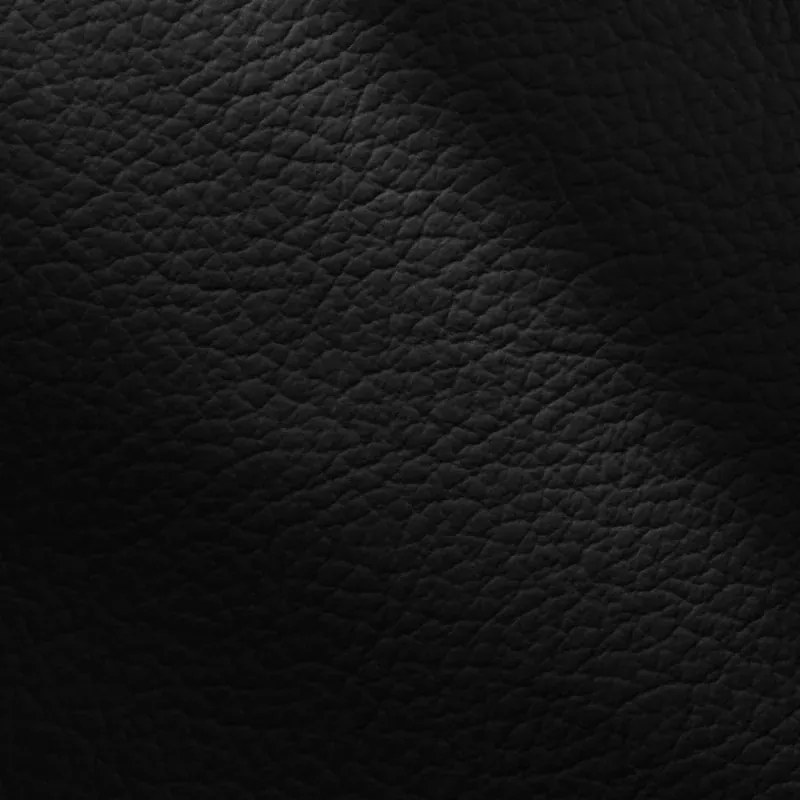 Kožené kreslo ROSSO II, čierna (nero 308)