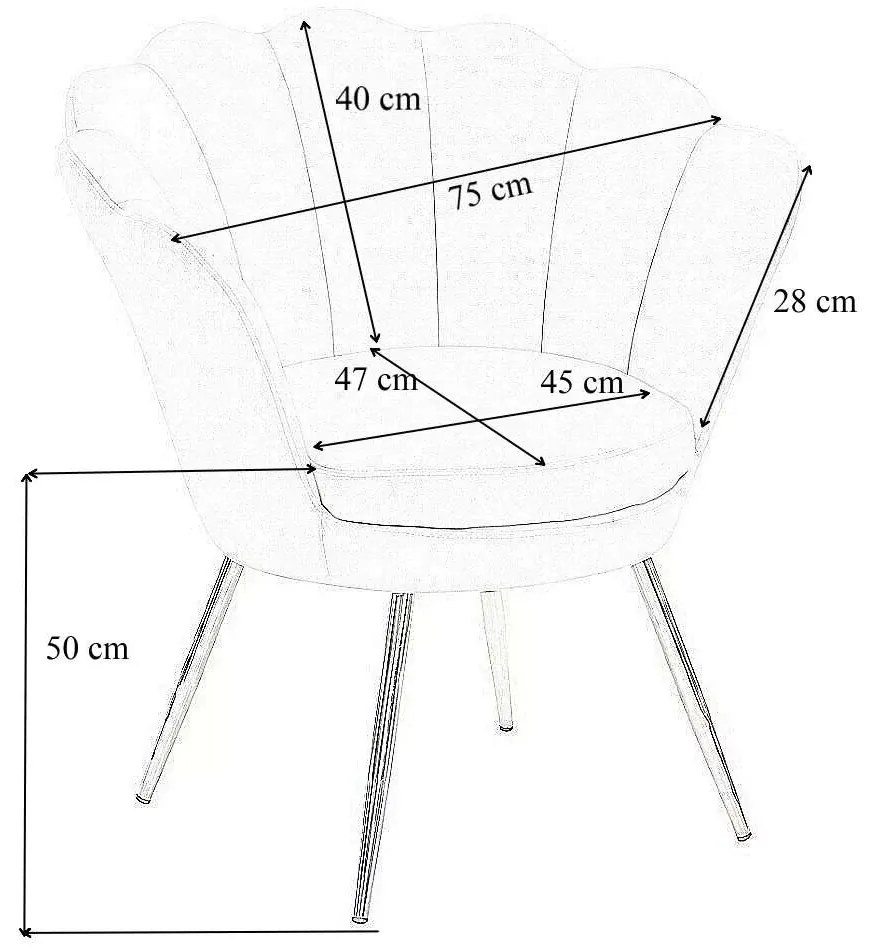 LuxuryForm DESIGN Kreslo FREY VELUR so striebornými nohami - čierne