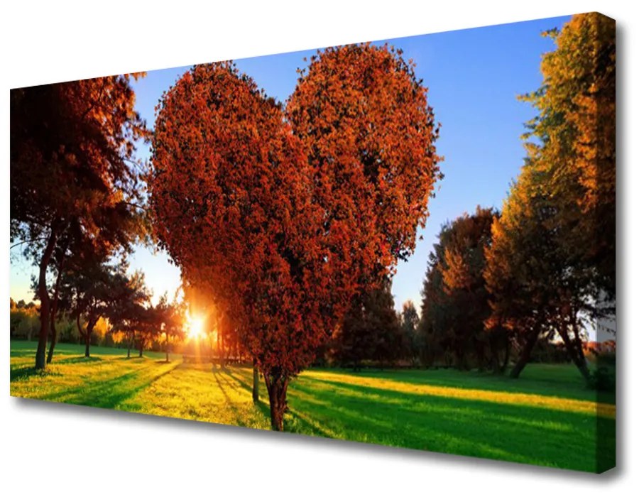 Obraz Canvas Strom srdce přírdoa 120x60 cm