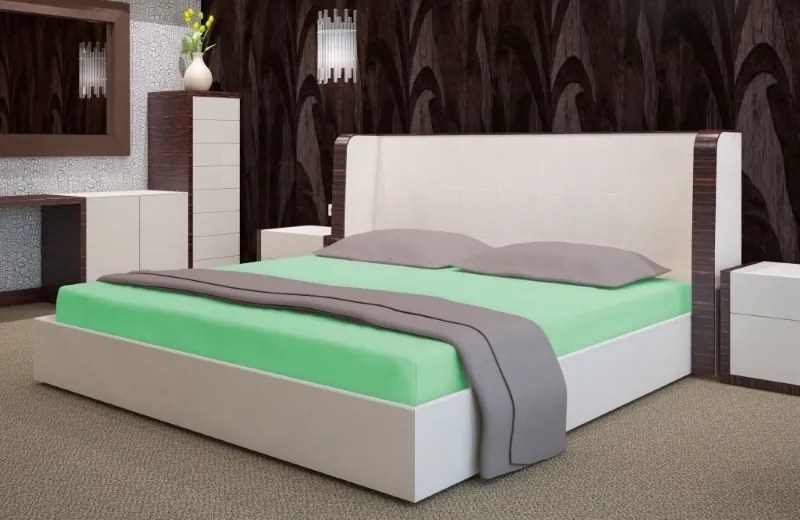 Dekorstudio Prestieradlo froté s gumičkou zelené PRZF-30 Rozmer plachty: 220x200cm