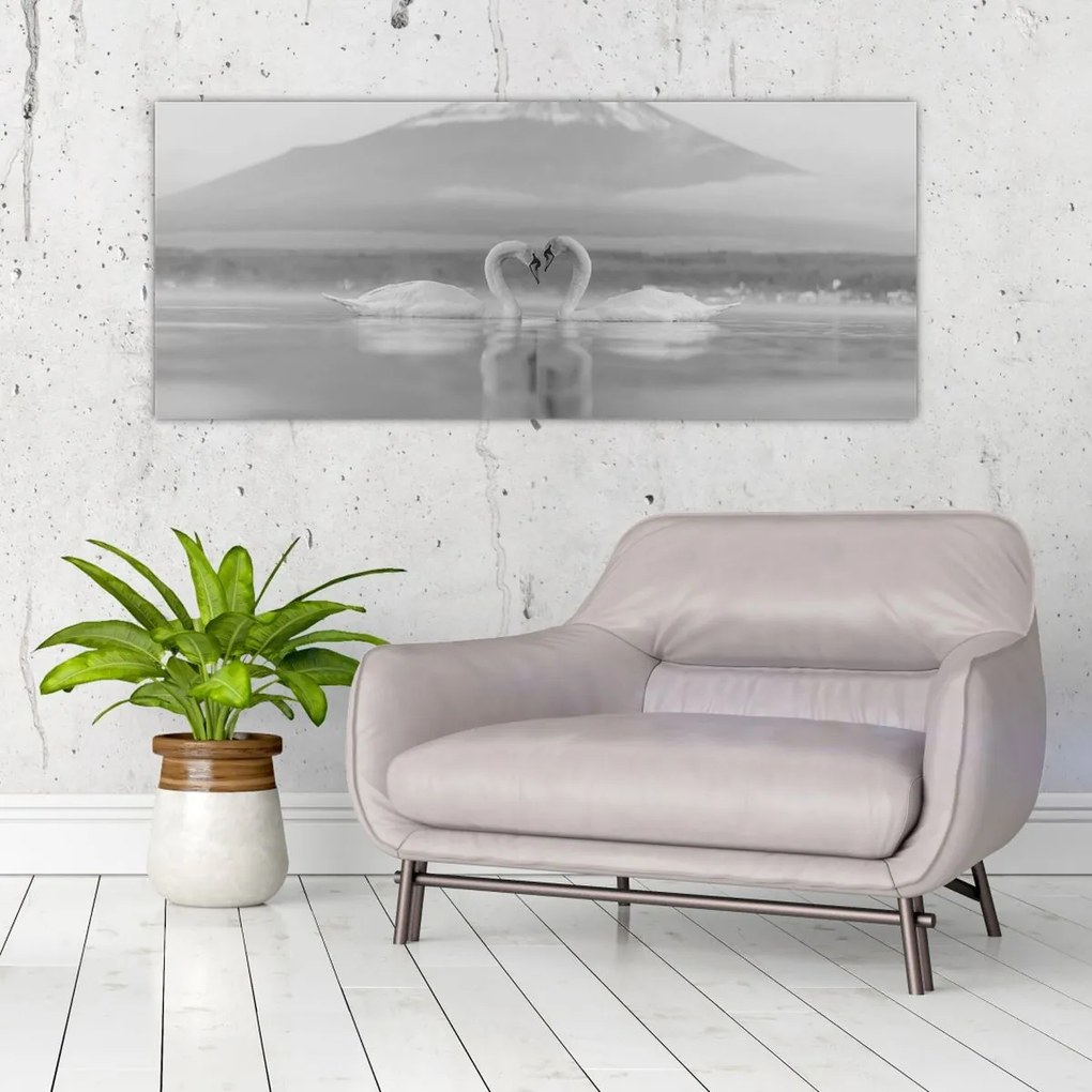 Obraz - Zamilované labute (120x50 cm)