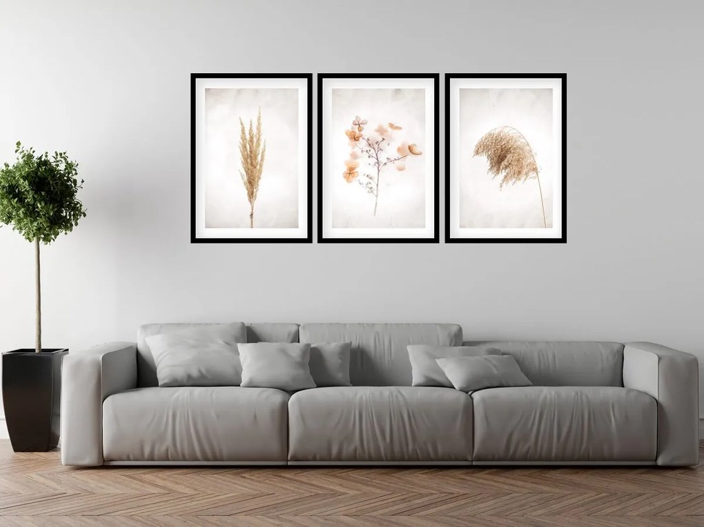 Gario Sada plagátov Dry nature - 3 dielna Farba rámu: Zlatá, Veľkosť: 99 x 45 cm