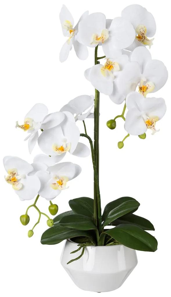 Gasper Orchidea v keramickom kvetináči, 52 cm, biela